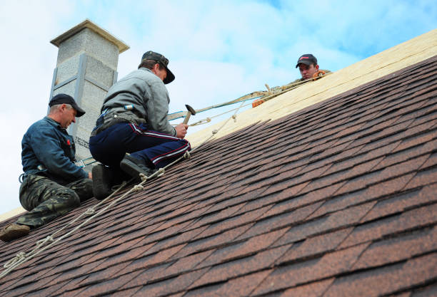 Best Roof Waterproofing Services  in Old Mystic, CT